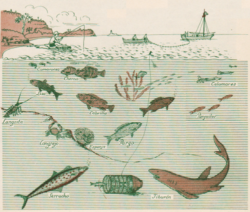 raisz_atlas_of_cuba_p25_fish