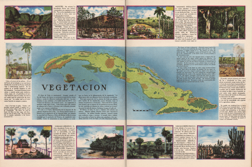 raisz_atlas_of_cuba_p26-27_veg