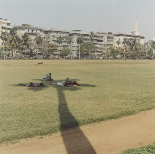 tumblr_mscvwcjGpm1qz6f9yo1_1280