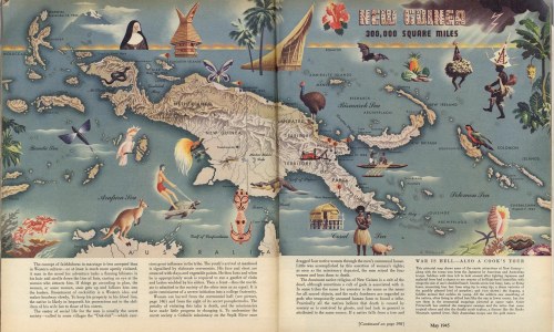 petrucelli_new_guinea