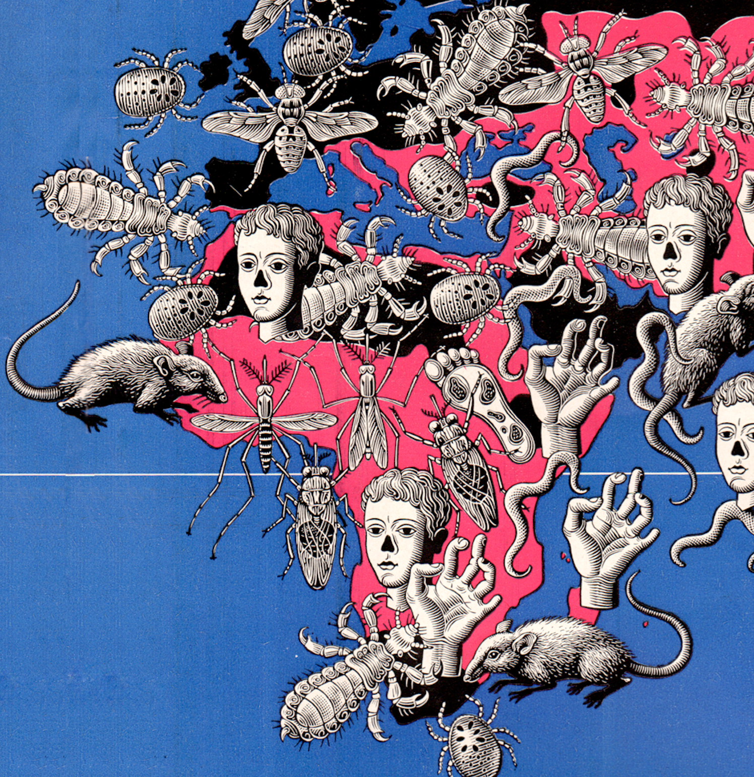 Screen Shot 2019-01-16 at 10.19.50 AM.png