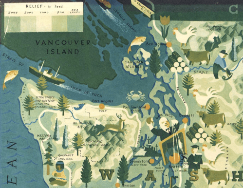 Screen Shot 2019-02-07 at 11.13.49 AM