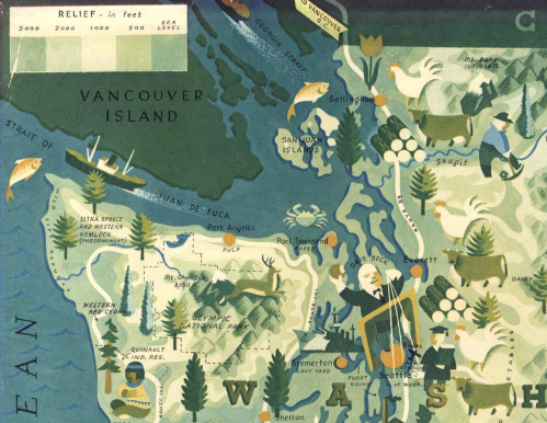 Screen Shot 2019-02-07 at 11.13.49 AM