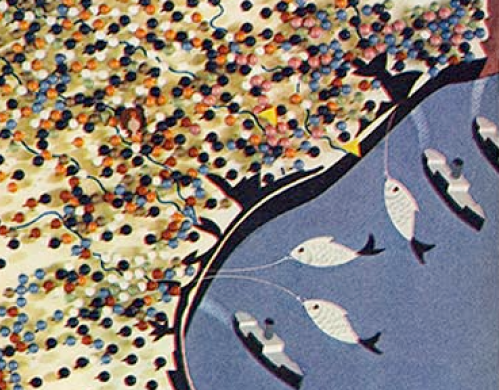 Screen Shot 2019-02-07 at 12.06.19 PM.png