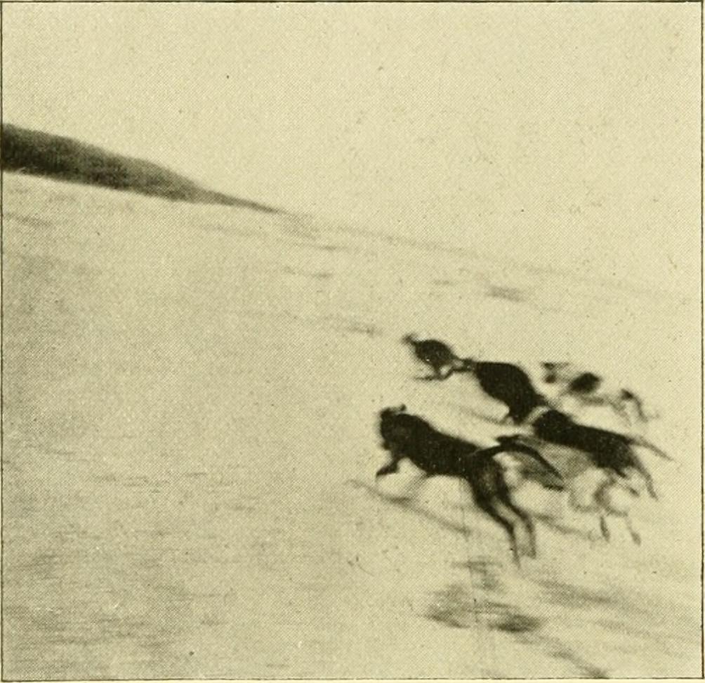 tumblr_nbwxfcQ9jZ1tga8o1o1_1280