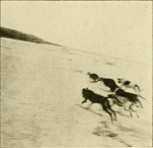 tumblr_nbwxfcQ9jZ1tga8o1o1_1280